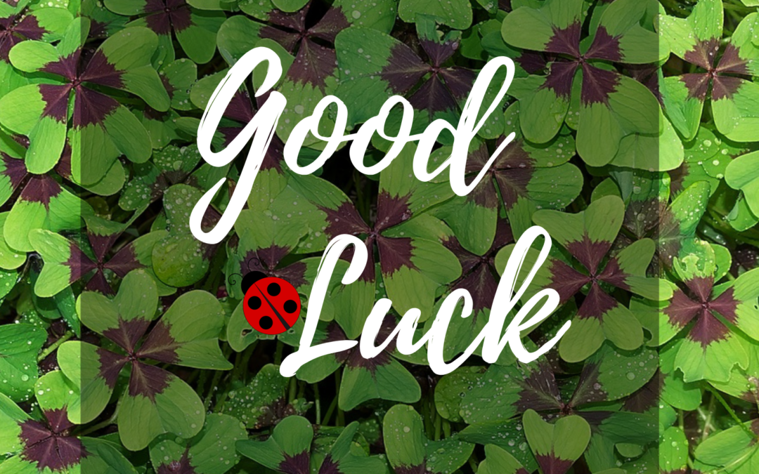 La Psicologia della Fortuna: come si diventa fortunati? ?